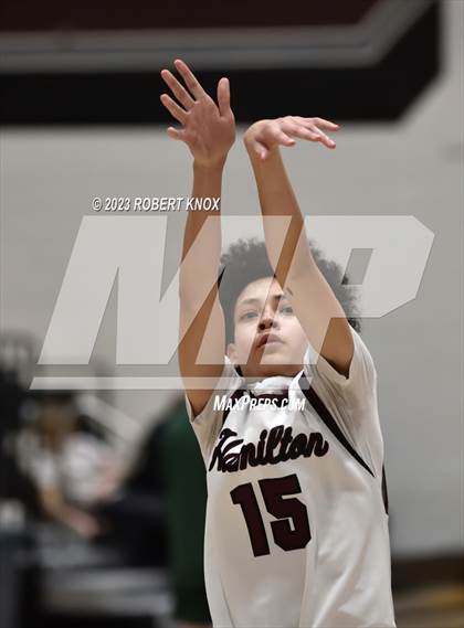 Thumbnail 2 in Basha @ Hamilton photogallery.