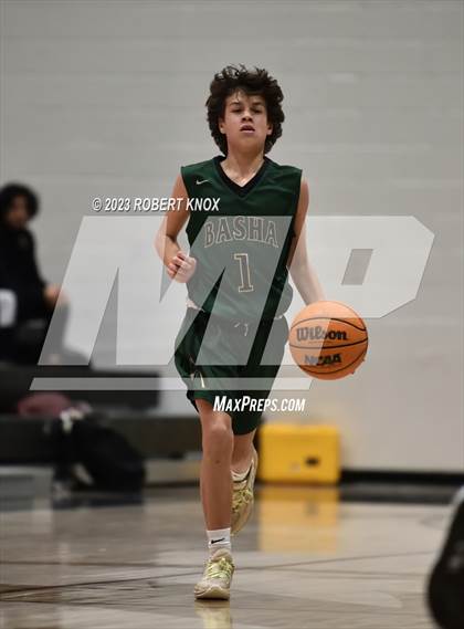 Thumbnail 3 in Basha @ Hamilton photogallery.