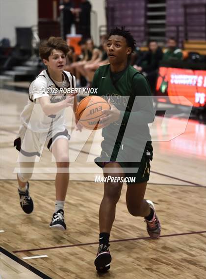 Thumbnail 3 in Basha @ Hamilton photogallery.