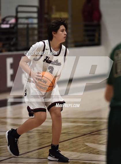Thumbnail 1 in Basha @ Hamilton photogallery.