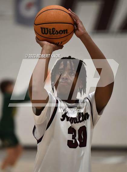 Thumbnail 1 in Basha @ Hamilton photogallery.