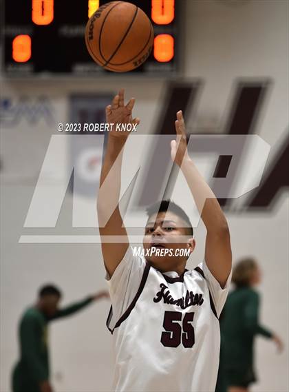 Thumbnail 3 in Basha @ Hamilton photogallery.