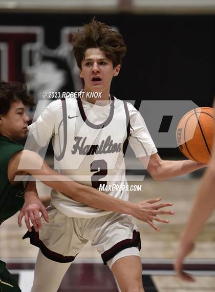 Thumbnail 2 in Basha @ Hamilton photogallery.