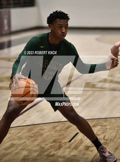 Thumbnail 3 in Basha @ Hamilton photogallery.
