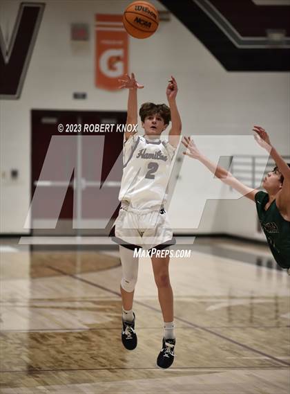 Thumbnail 1 in Basha @ Hamilton photogallery.