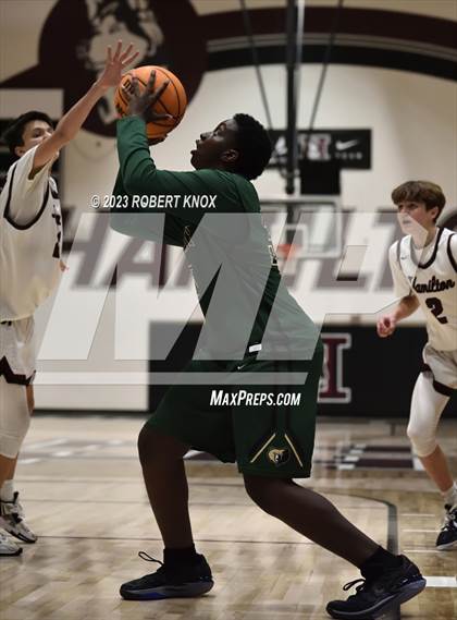 Thumbnail 2 in Basha @ Hamilton photogallery.