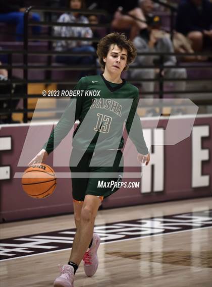 Thumbnail 2 in Basha @ Hamilton photogallery.