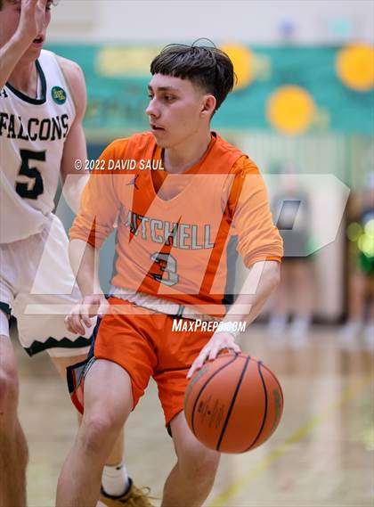 Thumbnail 1 in Mitchell @ Falcon photogallery.