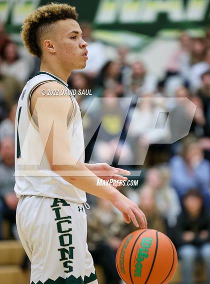 Thumbnail 3 in Mitchell @ Falcon photogallery.