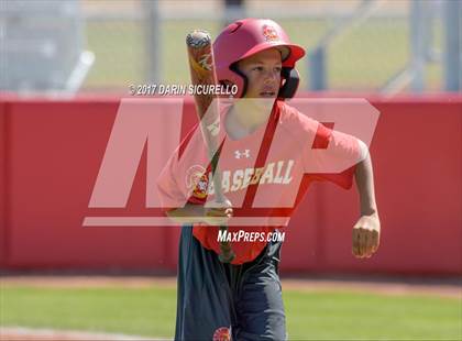 Thumbnail 1 in Mainland Regional @ Seton Catholic (Pride Classic) photogallery.