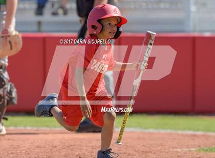 Thumbnail 1 in Mainland Regional @ Seton Catholic (Pride Classic) photogallery.