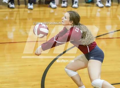 Thumbnail 3 in E.D. White @ Terrebonne photogallery.