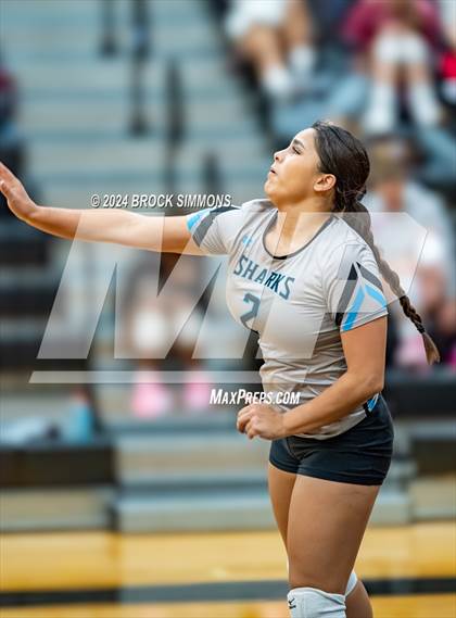 Thumbnail 3 in Pearland @ Shadow Creek photogallery.