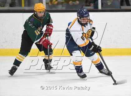 Thumbnail 1 in Taconic @ Woodstock Academy photogallery.