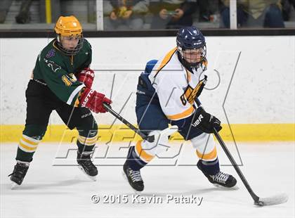 Thumbnail 3 in Taconic @ Woodstock Academy photogallery.