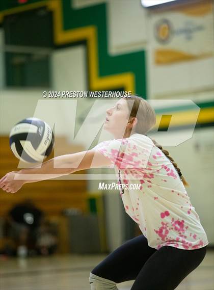 Thumbnail 3 in Royal @ Moorpark photogallery.