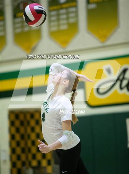 Thumbnail 2 in Royal @ Moorpark photogallery.