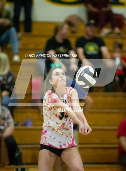 Thumbnail 3 in Royal @ Moorpark photogallery.