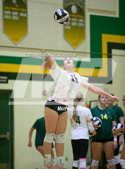 Thumbnail 1 in Royal @ Moorpark photogallery.