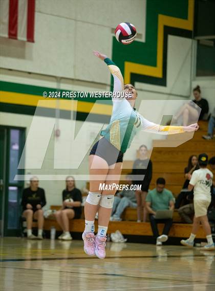 Thumbnail 1 in Royal @ Moorpark photogallery.