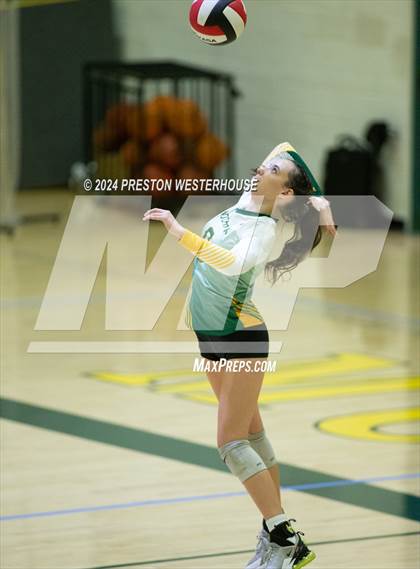Thumbnail 1 in Royal @ Moorpark photogallery.