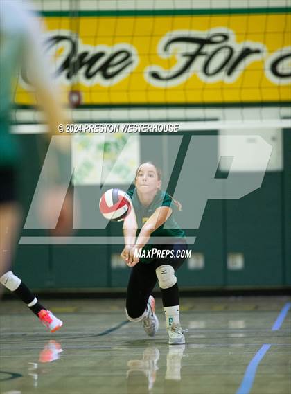 Thumbnail 1 in Royal @ Moorpark photogallery.
