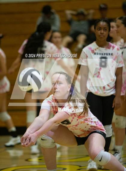 Thumbnail 1 in Royal @ Moorpark photogallery.