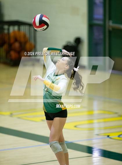 Thumbnail 1 in Royal @ Moorpark photogallery.