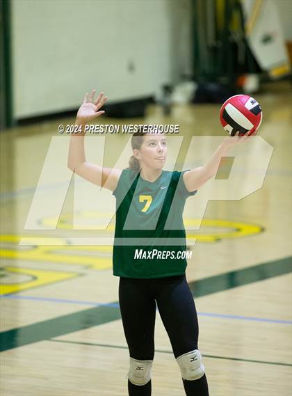 Thumbnail 1 in Royal @ Moorpark photogallery.