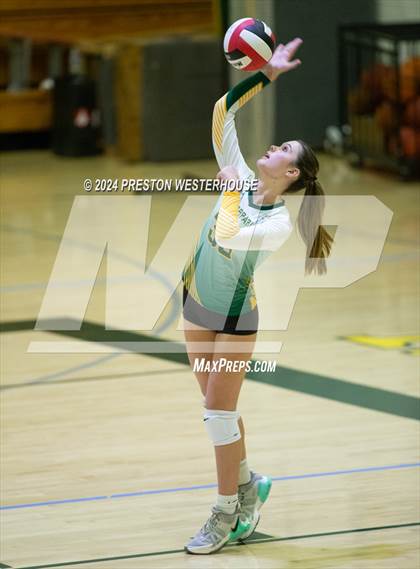 Thumbnail 3 in Royal @ Moorpark photogallery.