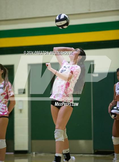 Thumbnail 3 in Royal @ Moorpark photogallery.