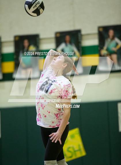 Thumbnail 2 in Royal @ Moorpark photogallery.