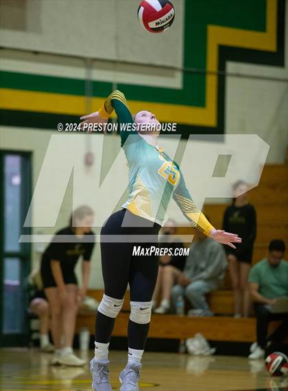 Thumbnail 1 in Royal @ Moorpark photogallery.
