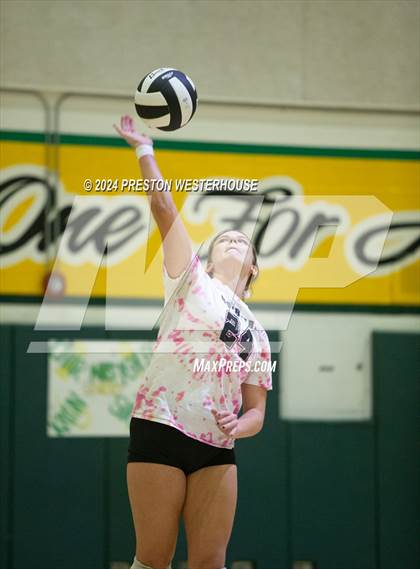 Thumbnail 3 in Royal @ Moorpark photogallery.