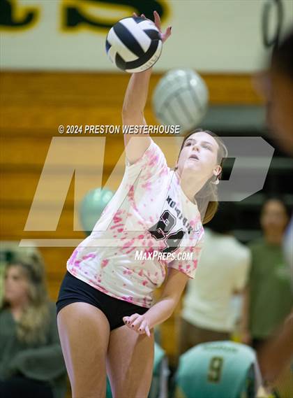 Thumbnail 2 in Royal @ Moorpark photogallery.