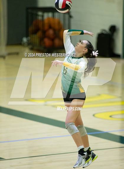 Thumbnail 1 in Royal @ Moorpark photogallery.