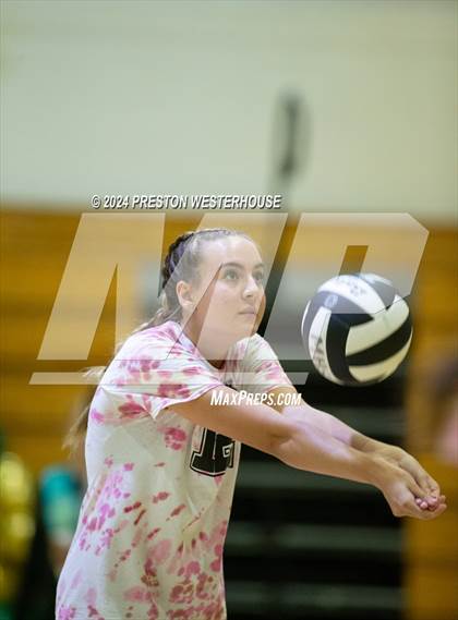 Thumbnail 1 in Royal @ Moorpark photogallery.