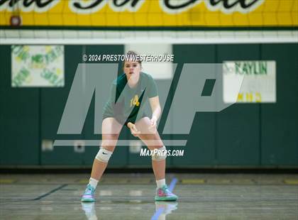 Thumbnail 2 in Royal @ Moorpark photogallery.