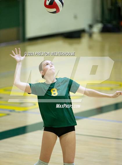Thumbnail 1 in Royal @ Moorpark photogallery.