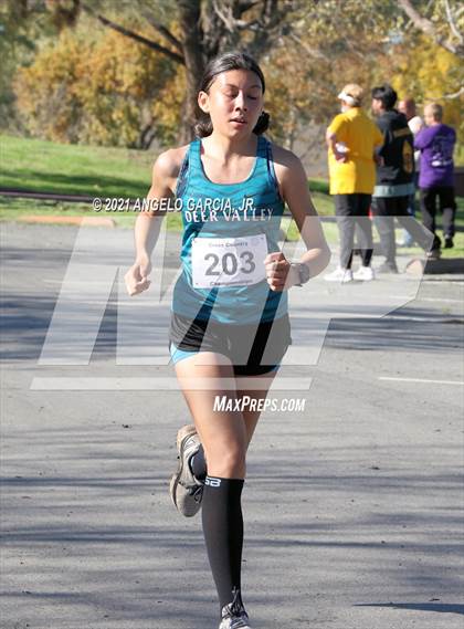 Thumbnail 1 in Bay Valley Athletic League Girls Cross Country Championship photogallery.