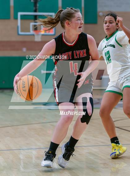 Thumbnail 1 in Lincoln County vs Virgin Valley (2A 3A Challenge @ VVHS) photogallery.