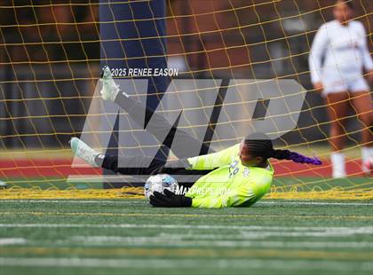 Thumbnail 1 in Sam Houston @ Providence Classical Academy (Gator Cup) photogallery.