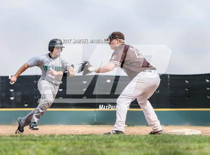 Thumbnail 3 in Crespi vs Malibu  photogallery.