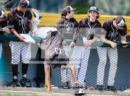Thumbnail 2 in Crespi vs Malibu  photogallery.
