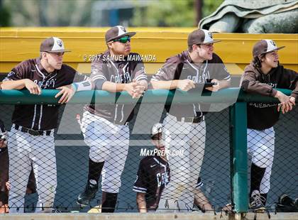 Thumbnail 1 in Crespi vs Malibu  photogallery.