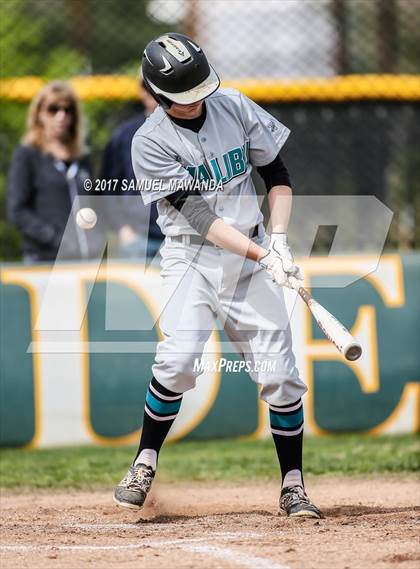 Thumbnail 1 in Crespi vs Malibu  photogallery.