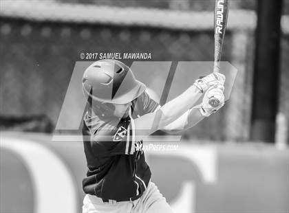 Thumbnail 3 in Crespi vs Malibu  photogallery.