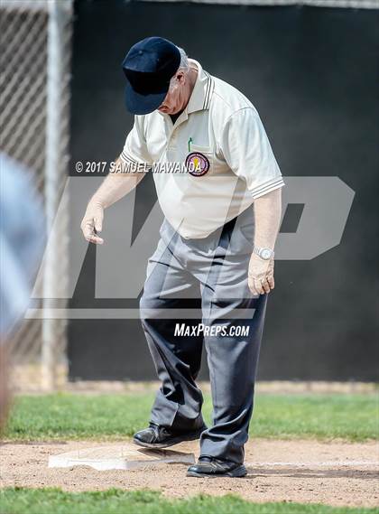 Thumbnail 2 in Crespi vs Malibu  photogallery.