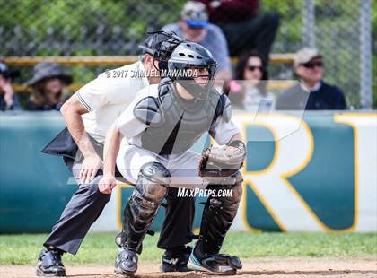 Thumbnail 3 in Crespi vs Malibu  photogallery.