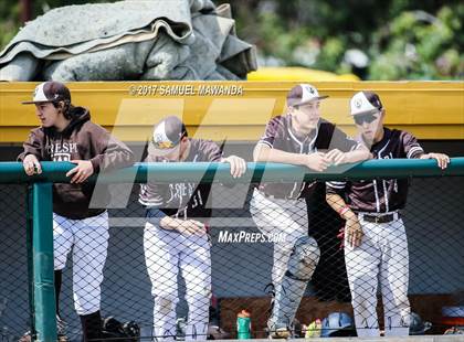 Thumbnail 1 in Crespi vs Malibu  photogallery.